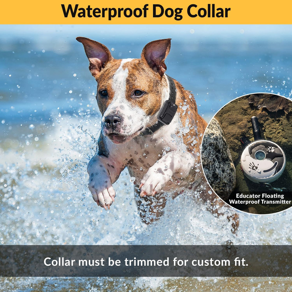 E-Collar Mini  ET-300 Remote Dog Training Collar, ZEN | 1/2 Mile Range, Waterproof & Rechargeable, 100 Levels + Vibration + Tone + Light, for 1 Dog Small to Medium